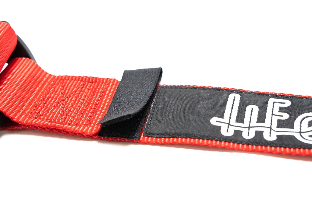 Copse 6pt FIA Harness - 2" - Pull Down