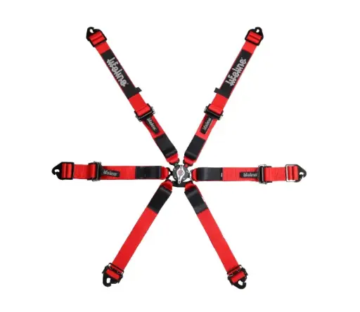 Woodcote 6pt FIA Harness - 2" - Pull Up